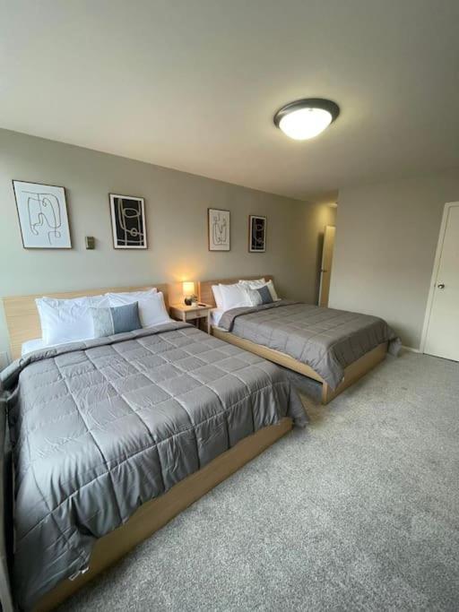 Charming Apartment At Crystal City With Amazing Amenities 阿林顿 外观 照片