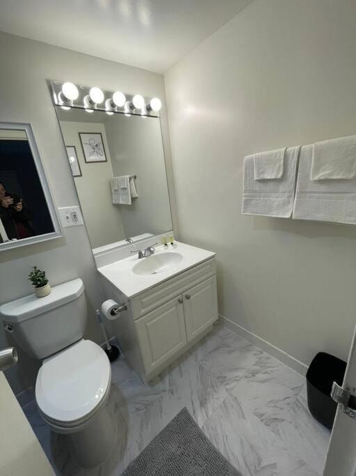 Charming Apartment At Crystal City With Amazing Amenities 阿林顿 外观 照片